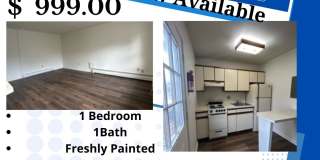 280-288 Penn Street - 1 280-288 Penn Street - 1 Photo Gallery 1