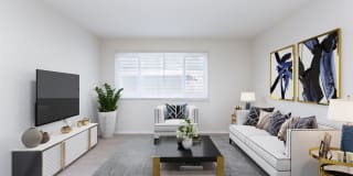 1509 Golden Gate Avenue 1509 Golden Gate Avenue Photo Gallery 1