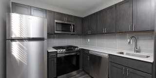 Domino Lane Apartments Domino Lane Apartments Photo Gallery 1