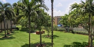 Sunset Palms Sunset Palms Photo Gallery 1
