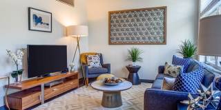 Alister Deco Alister Deco Photo Gallery 1
