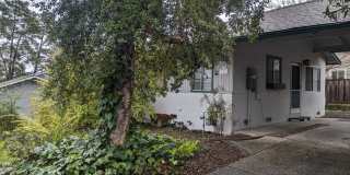 711 Picnic Lane 711 Picnic Lane Photo Gallery 1
