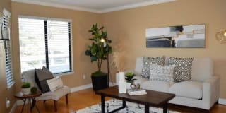 1201 Alta Vista Dr 1201 Alta Vista Dr Photo Gallery 1