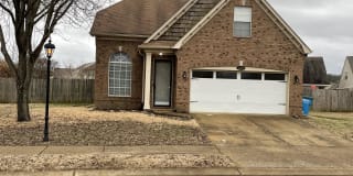 12149 Longleaf Oak Trail 12149 Longleaf Oak Trail Photo Gallery 1