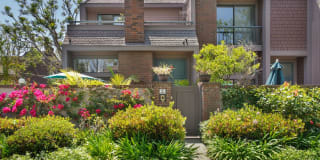 4527 Alla Rd 4527 Alla Rd Photo Gallery 1