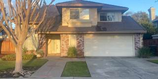 887 Roma 887 Roma Photo Gallery 1