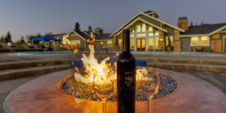 Vineyards at Valley View Vineyards at Valley View Photo Gallery 1