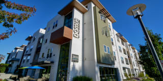 Domus on the Boulevard Domus on the Boulevard Photo Gallery 1