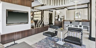 Luxe Scottsdale Luxe Scottsdale Photo Gallery 1