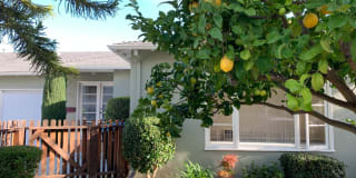 107 Elm ST 107 Elm ST Photo Gallery 1