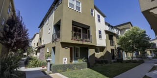 1501 Coyote Creek Way 1501 Coyote Creek Way Photo Gallery 1