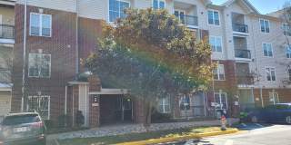 1581 Spring Gate Dr Unit 5102 1581 Spring Gate Dr Unit 5102 Photo Gallery 1