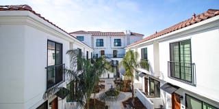 The Angelino The Angelino Photo Gallery 1