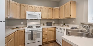 Lake Pointe Lake Pointe Photo Gallery 1