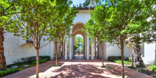 39931 Cedar Blvd Unit 201 39931 Cedar Blvd Unit 201 Photo Gallery 1