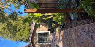 347 San Carlos ave B 347 San Carlos ave B Photo Gallery 1