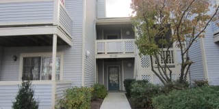 41 Chinkaberry Court 41 Chinkaberry Court Photo Gallery 1