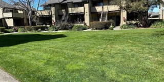 729 Majestic Way 729 Majestic Way Photo Gallery 1
