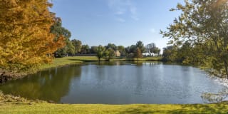 Las Colinas Heights Apartment Homes Las Colinas Heights Apartment Homes Photo Gallery 1