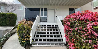 264 Dolphin Way 264 Dolphin Way Photo Gallery 1