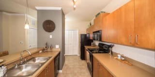 Enclave at Wesley Chapel Enclave at Wesley Chapel Photo Gallery 1