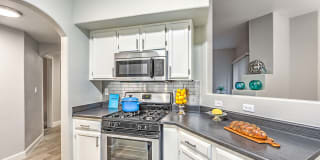 Collage Apartments Collage Apartments Photo Gallery 1