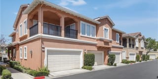 23 Carnation 23 Carnation Photo Gallery 1