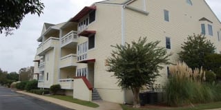 1100 Possum Trot Rd. 1100 Possum Trot Rd. Photo Gallery 1