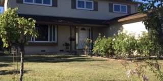 734 Liverpool Way 734 Liverpool Way Photo Gallery 1