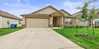 1153 Amber LAKE 1153 Amber LAKE Photo Gallery 1