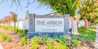 Arbor Collection Arbor Collection Photo Gallery 1