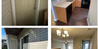 2490 Lampong Drive 2490 Lampong Drive Photo Gallery 1