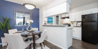 Avion at Carrollwood Avion at Carrollwood Photo Gallery 1