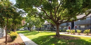 Cherrywood Apartments Cherrywood Apartments Photo Gallery 1