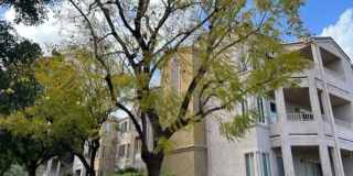 2380 Del Mar Way Unit 302 2380 Del Mar Way Unit 302 Photo Gallery 1