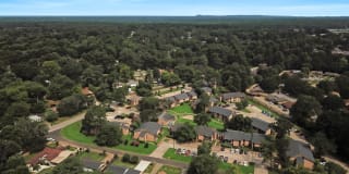 Scenic Pines Scenic Pines Photo Gallery 1