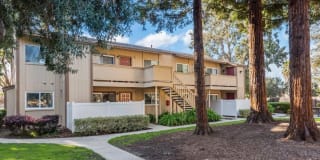 38496 Mary Terrace, Fremont, CA 94538 38496 Mary Terrace, Fremont, CA 94538 Photo Gallery 1