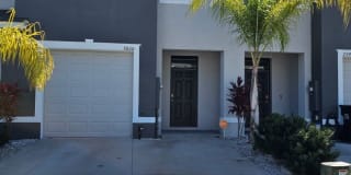 3000 Suncoast Blend 3000 Suncoast Blend Photo Gallery 1