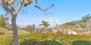 24041 Vista Corona 24041 Vista Corona Photo Gallery 1
