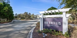 10X Trellis 10X Trellis Photo Gallery 1