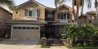 27761 Daisyfield Drive 27761 Daisyfield Drive Photo Gallery 1