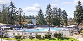 Park at Northgate Apartment Homes Park at Northgate Apartment Homes Photo Gallery 1