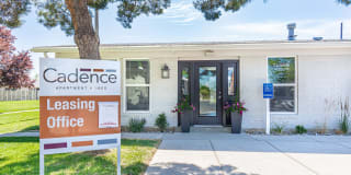 Cadence Cadence Photo Gallery 1