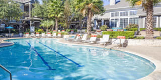 Nolina Flats Nolina Flats Photo Gallery 1