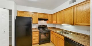 The Forest Apartments The Forest Apartments Photo Gallery 1