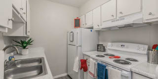 The Courtland The Courtland Photo Gallery 1