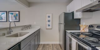 Align Align Photo Gallery 1