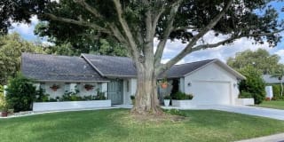 3202 Meadow Run Dr 3202 Meadow Run Dr Photo Gallery 1