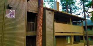 1385 W University Ave. # 2-113 1385 W University Ave. # 2-113 Photo Gallery 1