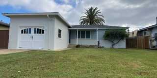 1462 Stewart Street 1462 Stewart Street Photo Gallery 1